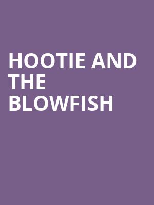 Hootie and the Blowfish, MidFlorida Credit Union Amphitheatre, Tampa