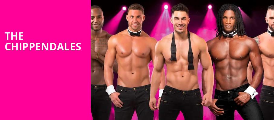 The Chippendales, Hard Rock Hotel And Casino Tampa, Tampa