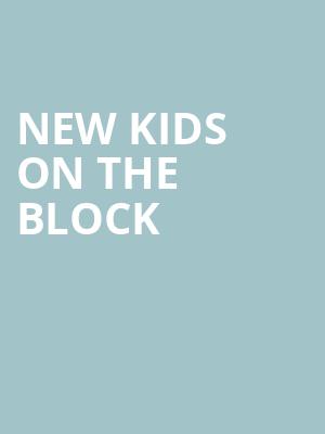 New Kids On The Block, MidFlorida Credit Union Amphitheatre, Tampa