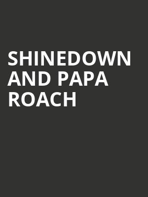 Shinedown and Papa Roach, MidFlorida Credit Union Amphitheatre, Tampa