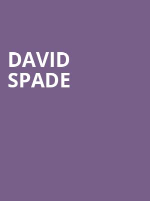 David Spade Poster