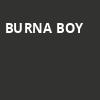 Burna Boy, Amalie Arena, Tampa