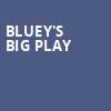 Blueys Big Play, Carol Morsani Hall, Tampa