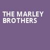 The Marley Brothers, MidFlorida Credit Union Amphitheatre, Tampa